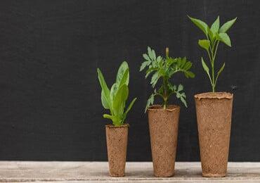 PLA planters are here! Degrades underground and then provides nutrients to potted plants